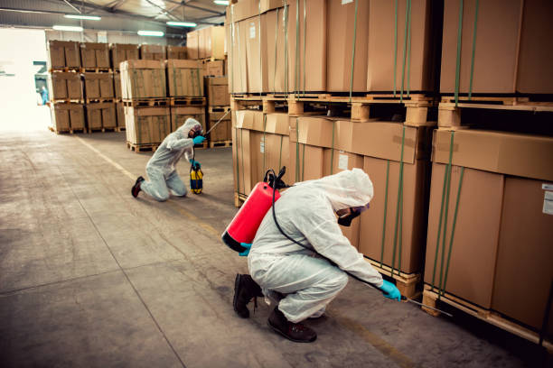 Best Pest Control Near Me in Sudley, VA