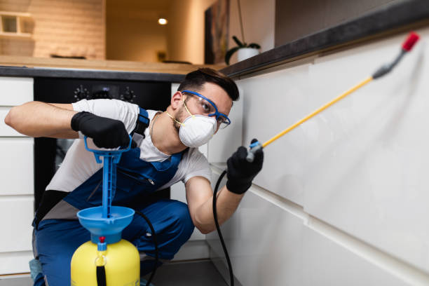 Best Insect Control  in Sudley, VA