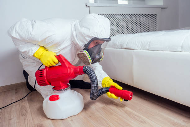 Best Affordable Pest Control Services  in Sudley, VA