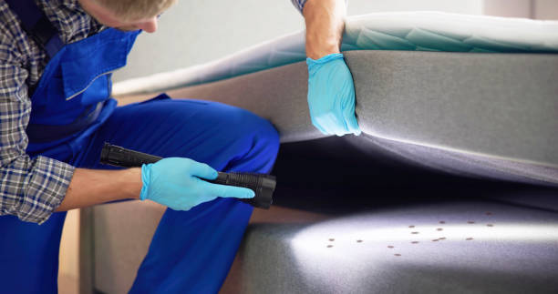 Reliable Sudley, VA Pest Control Solutions