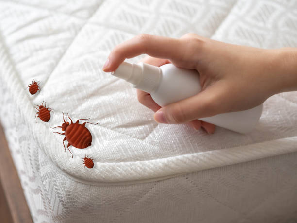 Best Pest Prevention Services  in Sudley, VA