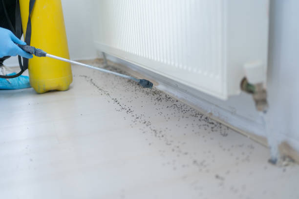 Best Bed Bug Extermination  in Sudley, VA